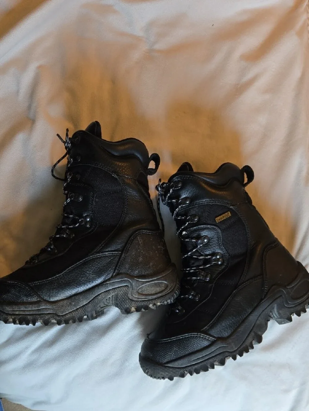 Cabela's Dry Plus Thinsulate Ultra Men Black Leather Snow Hunting Boots Sz 10 D